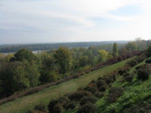 Őszi Duna-part vérborbolyákkal